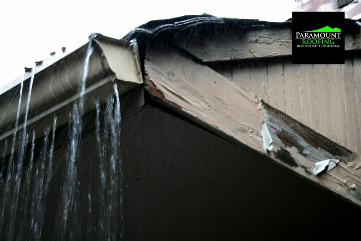 5 GUTTER PROBLEMS THAT CAN CAUSE EXPENSIVE DAMAGE