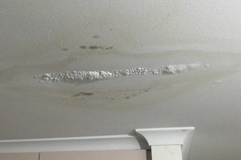 Leaks and Water Damage