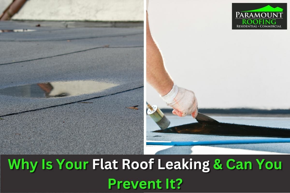 Why Is Your Flat Roof Leaking & Can You Prevent It?